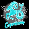 Capricorn Stickers Horoscope