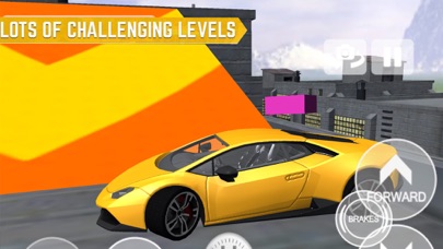 Car Rooftop Parking screenshot 3