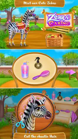 Game screenshot Zebra Caring mod apk
