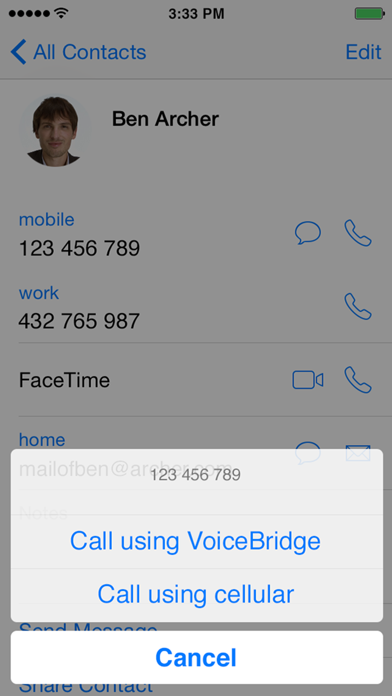 Screenshot #3 pour Voice Bridge