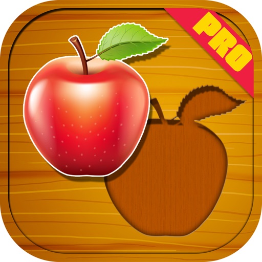 Wooden Blocks Puzzle Pro