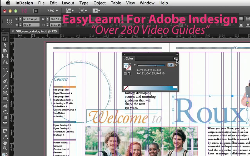 EasyLearn! For Adobe Indesign - 4.1 - (macOS)