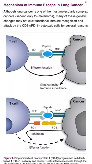 IASLC Atlas of PD-L1 Testing in Lung Cancer(圖2)-速報App
