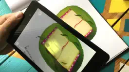 Game screenshot Décollage Immédiat apk