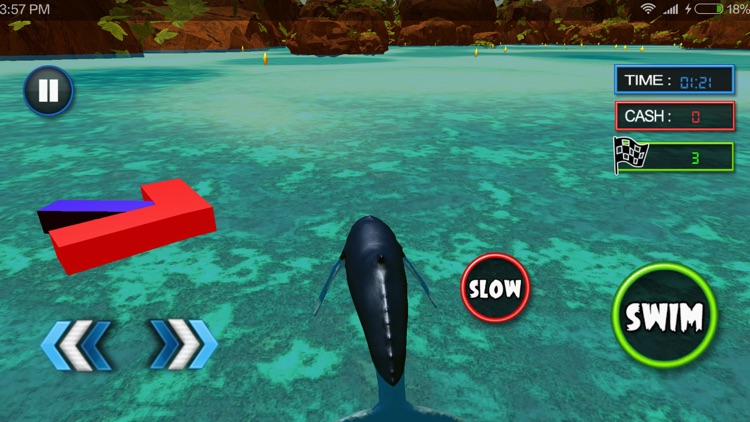 Blue Whale Challenging Game