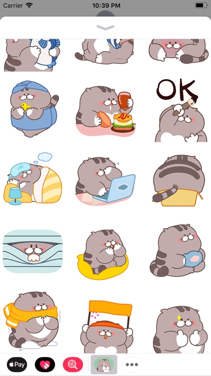 Chubby Cat Animated Stickers
