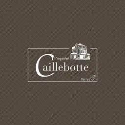 Maison Caillebotte app icon