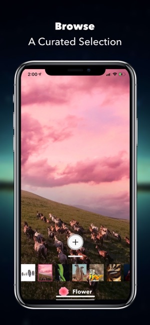 WonderWall - Live Wallpapers(圖4)-速報App