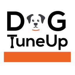 DogTuneUp