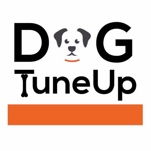 DogTuneUp