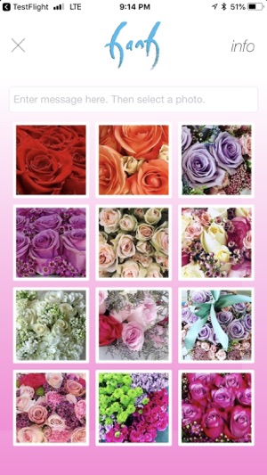 Hanh Gallery(圖3)-速報App