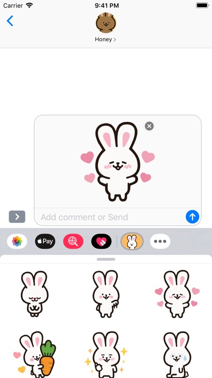 Sunny the Bunny