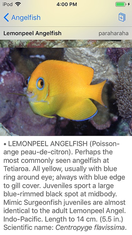 Tetiaroa Fish Guide