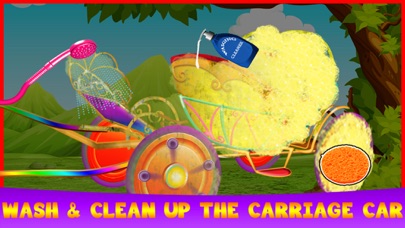 Princess Carriage Wash Salon screenshot 3