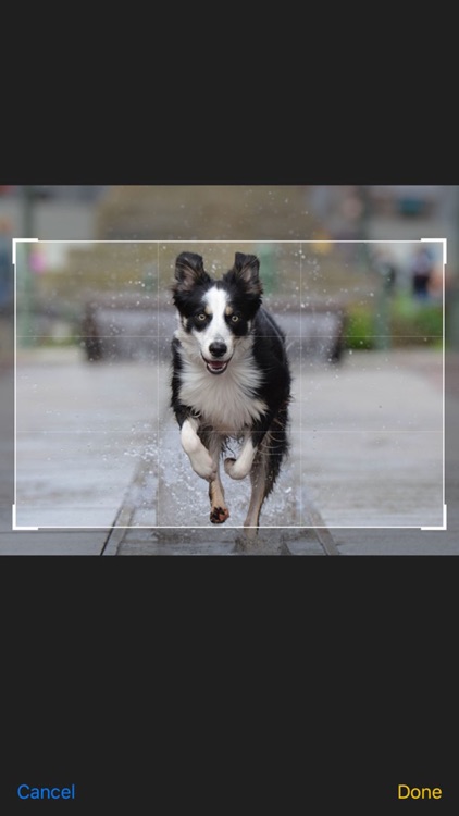 Stampix screenshot-3
