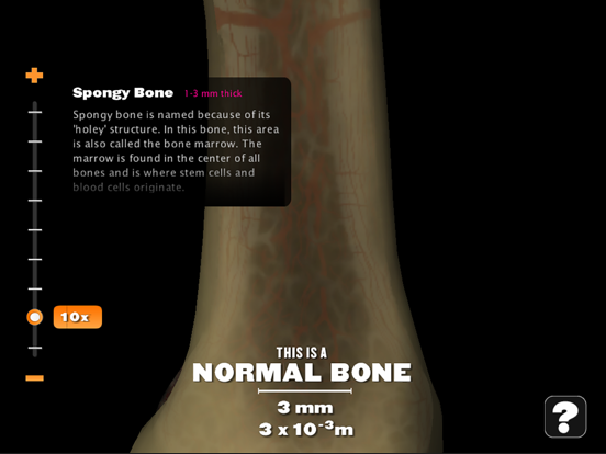 Powers of Minus Ten - Bone iPad screenshot 3 - Education app