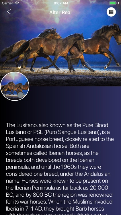 Horses 2.0 screenshot-6