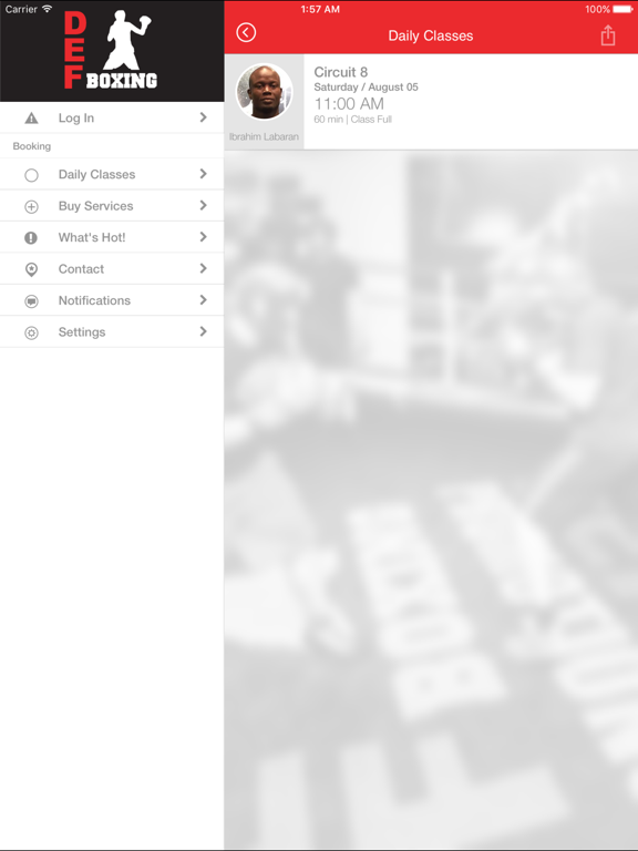 DEF Boxing iPad screenshot