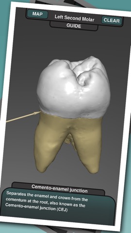 Real Tooth Morphologyのおすすめ画像3
