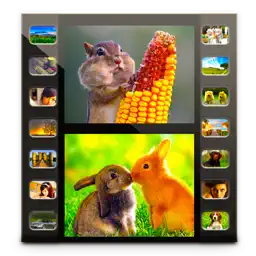 Photo Video-Photo Slideshow HD app icon