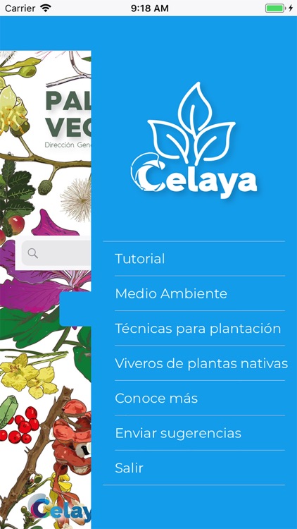 Paleta vegetal screenshot-4