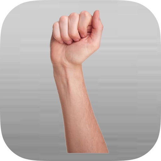 iGestural Language ASL Silver icon