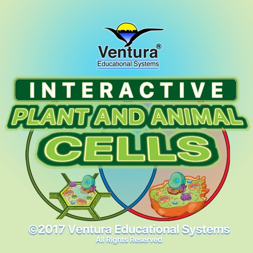 Plant and Animal Cells