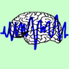 EEG Recorder - Randall Cayford