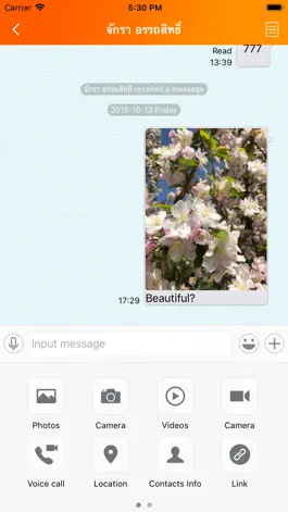 Game screenshot CAT chat hack