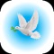 Divine Alerts is a powerful tool to help grow the spirituality and faith of an individual