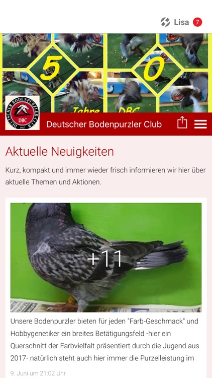 Deutscher Bodenpurzler Club