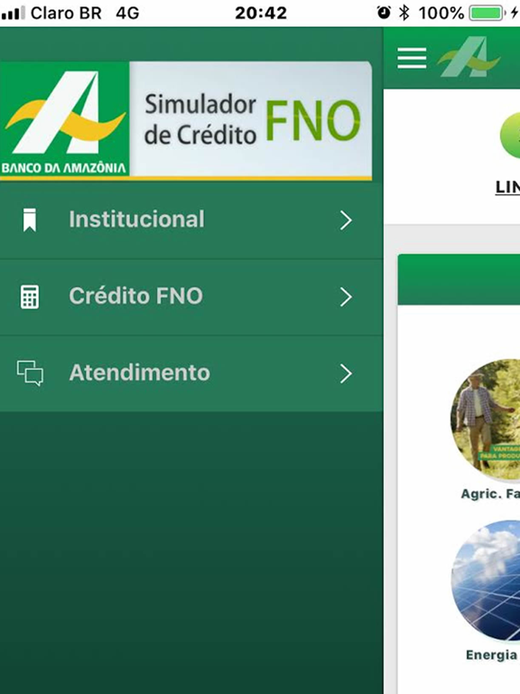 Screenshot #4 pour Simulador de Crédito FNO