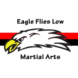 Eagle Flies Low Martial Arts