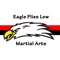 Welcome to Eagle Flies Low Martial Arts