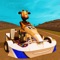 Hey animals go to adventure 