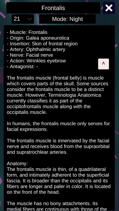 3D Anatomy + screenshot 3