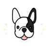 French BullDog Animated