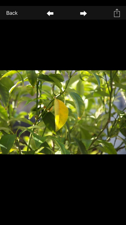 My Secret Area screenshot-4