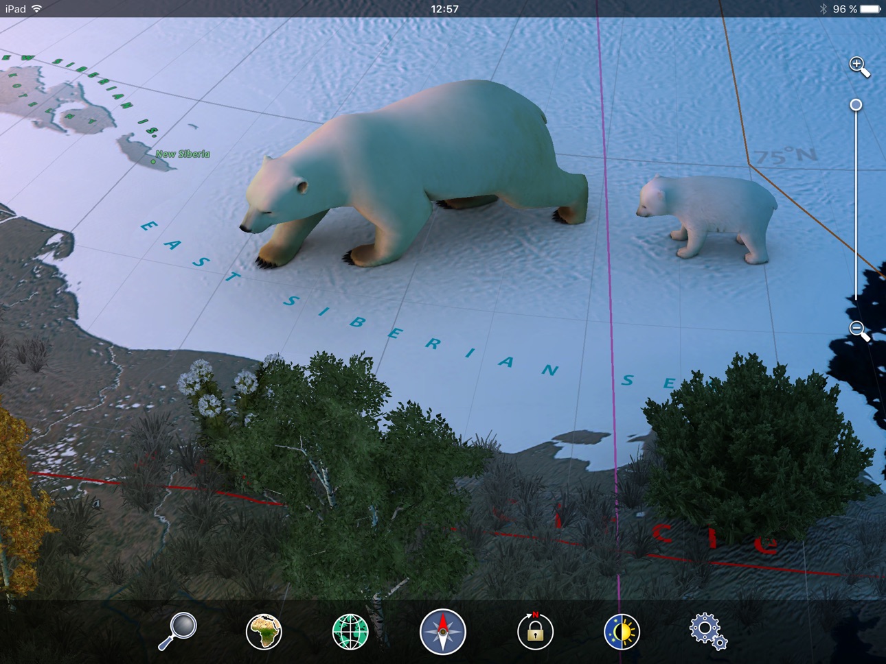 iPad screenshot
