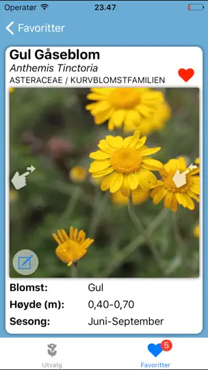 Blomstereng iPhone-skjermbilde 3