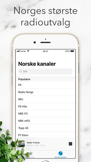 Radioappen Radio - Nettradio iPhone-skjermbilde 2