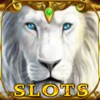 Slots - Wonderful Casino