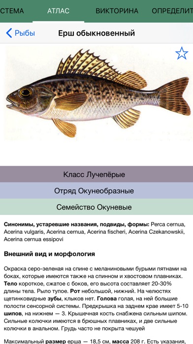 Экогид - Рыбы и Рыбалка screenshot 4