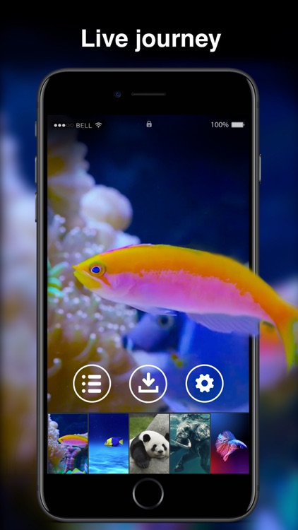 X Live Wallpapers screenshot-3