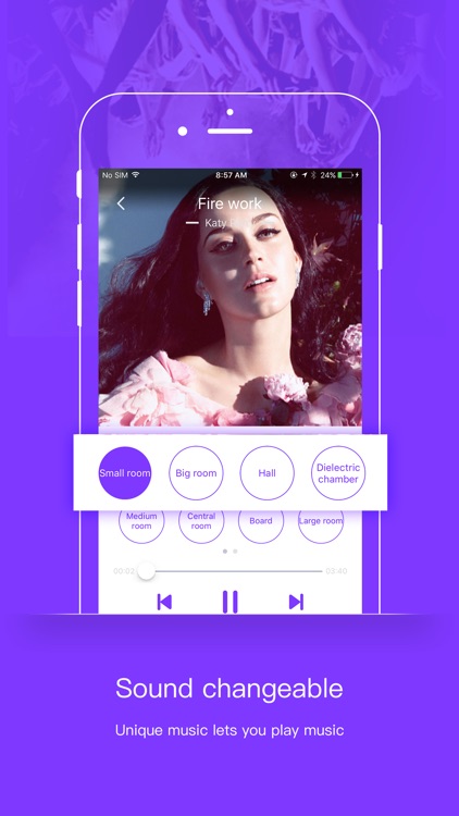 Voice Changer - DJ mix Player & song remix maker