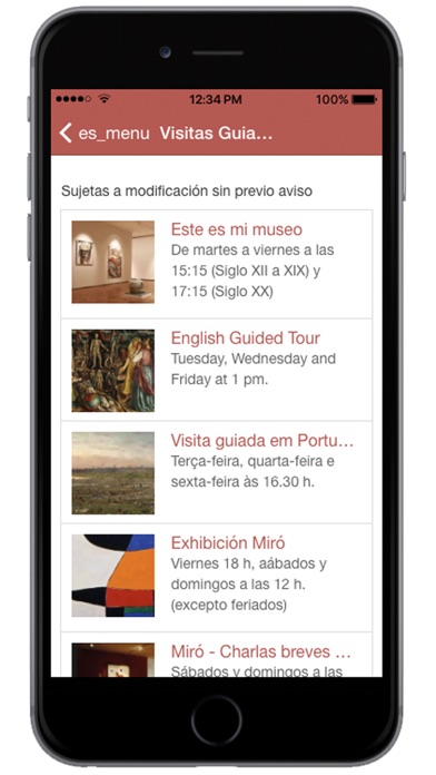 Museo Nacional de Bellas Artes screenshot 4