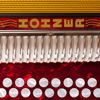 Hohner B/C Mini-Accordion - Michael Eskin