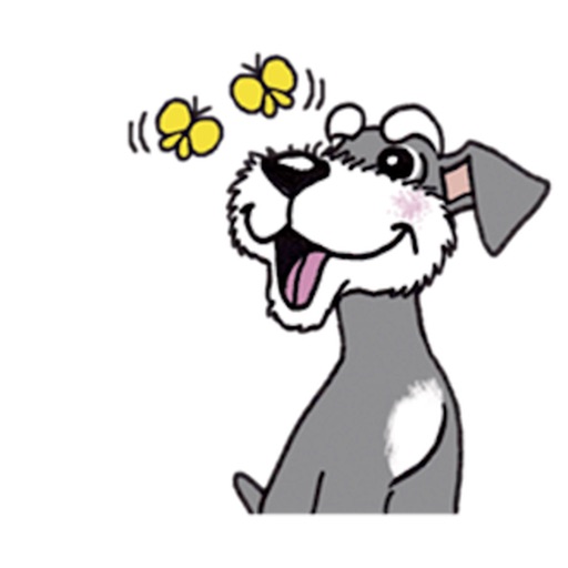 Cute Miniature Schnauzer Dog icon