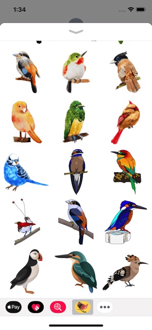 Exotic Flying Bird Stickers(圖3)-速報App