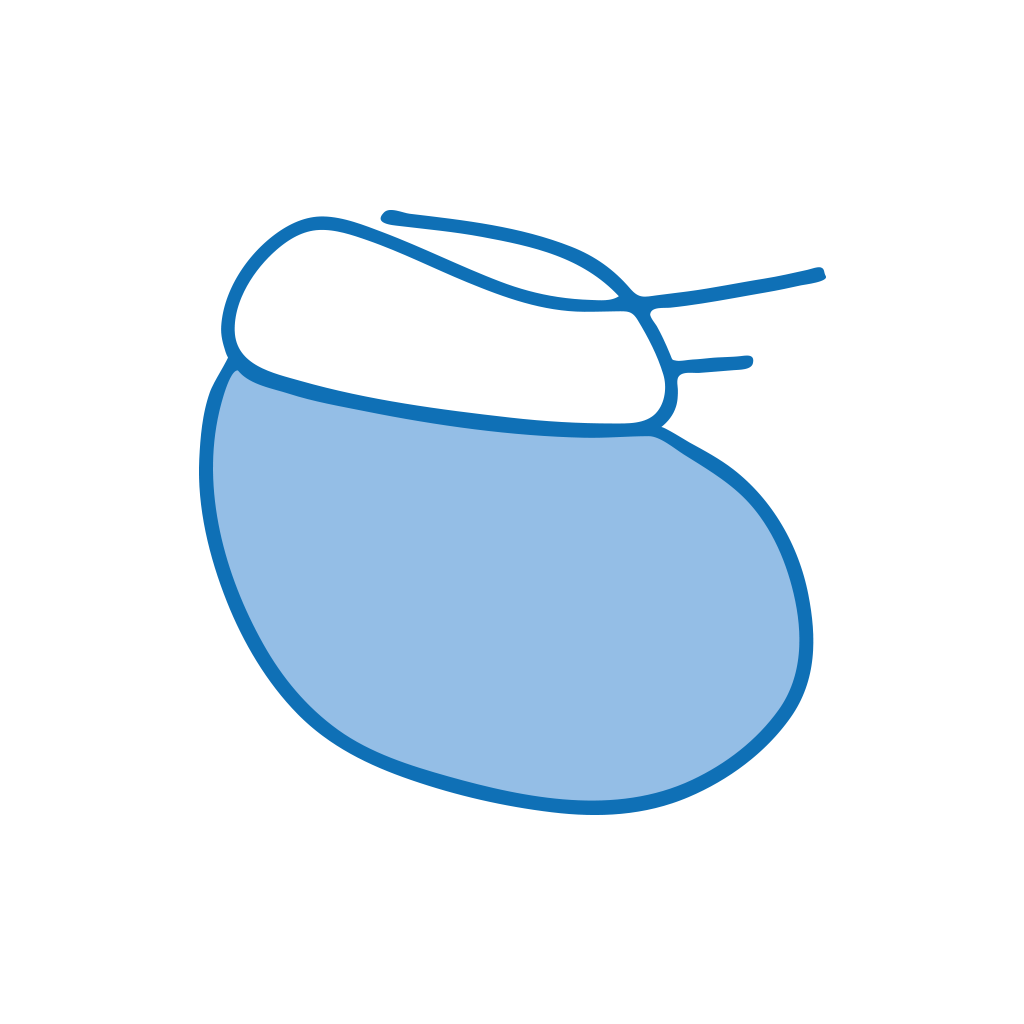 ERPM Pacemaker & ICD recipient App Icon